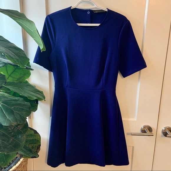 Zara Dresses & Skirts - NWOT Zara Skater dress
